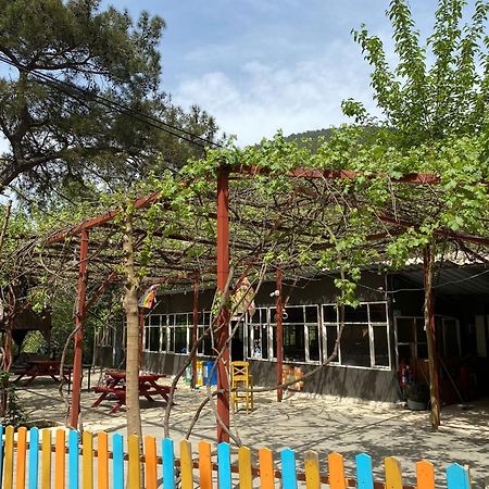 Olympos Camlik Pension Exteriör bild