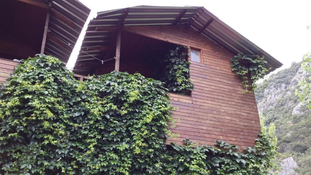 Olympos Camlik Pension Exteriör bild