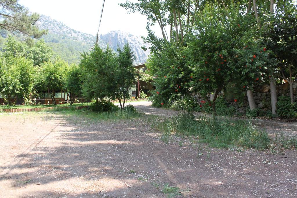 Olympos Camlik Pension Exteriör bild