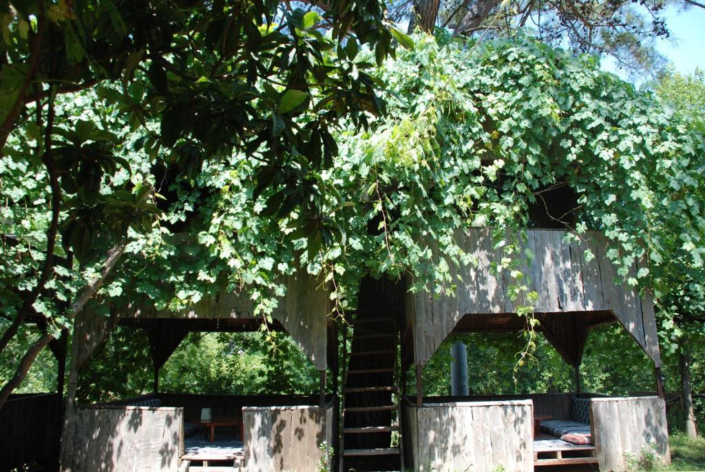 Olympos Camlik Pension Exteriör bild