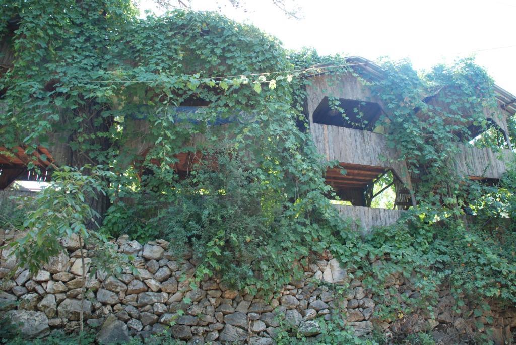 Olympos Camlik Pension Exteriör bild